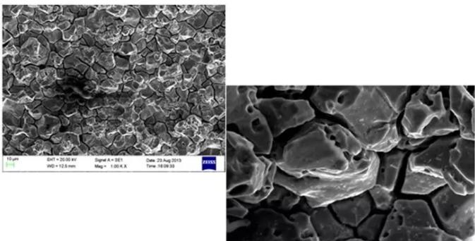 中卫中卫蔡司中卫扫描电镜 中卫中卫蔡司中卫扫描电镜